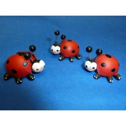 Coccinelle mini