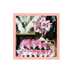 Montage avec chien lumineux fuschia