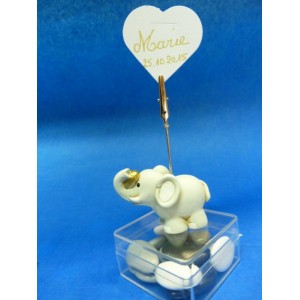 Eléphant gris sur une boite plexi Eléphant gris sur une boite plexi