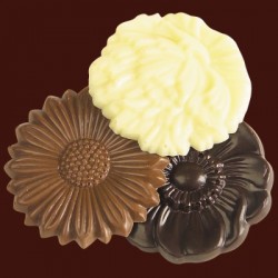 fleurs en chocolat lait, fondant et blanc