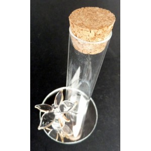 Tube en verre et papillon sur miroir