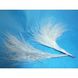 Plume grise 100 g
