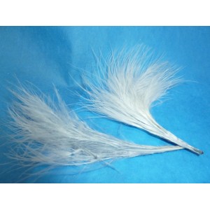 Plume grise 100 g
