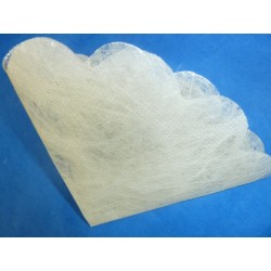 Tulle très original écru